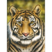 Hansa Airbrush Schablone -
