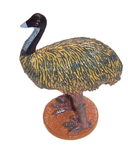 Emu animals of australia - of,