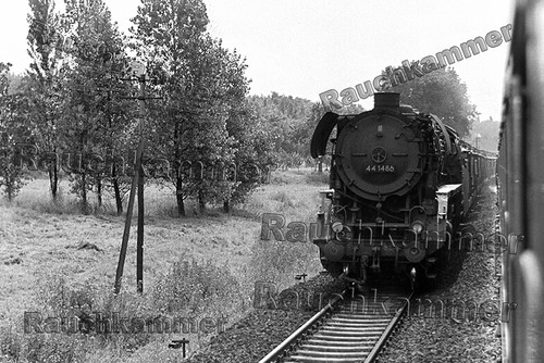 Fotoabzug 10x15 44 1486 - dr,