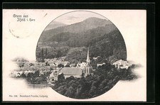 Ilfeld i. Harz, Teilansicht mit Kirche, Ansichtskarte 1910 
