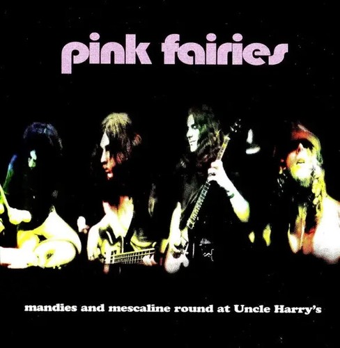 The pink fairies - the,