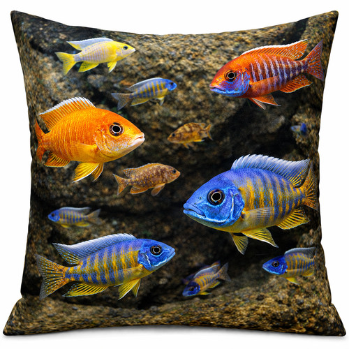 Kissen aquarium malawi - kissen,