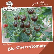 Black Cherry Bio-Tomatensamen für ca. 10 Pflanzen - beliebte, aromatische Sorte