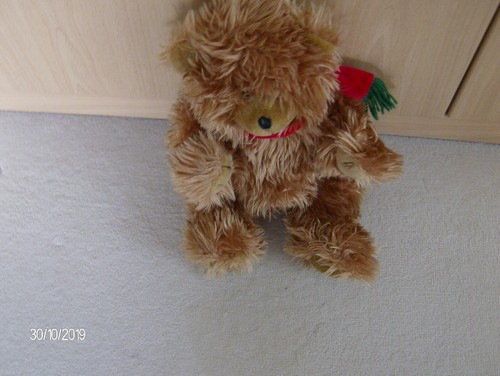 Brauner zottel stoffbär - zottel,