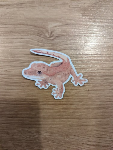 Crested gecko namensschild - gecko,