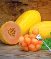 BALDUR Garten Mango-Melone