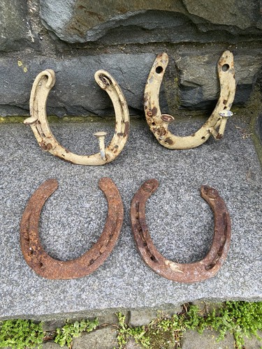 Glücksbringer echtes