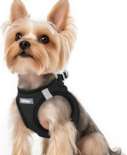 Rabbitgoo hundegeschirr kleine - hundegeschirr,