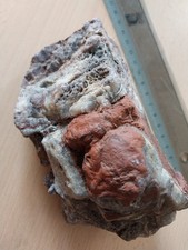 Roter Brekzien-Jaspis (mit