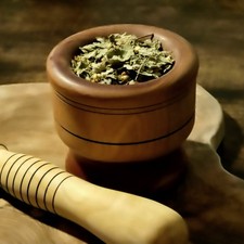 Calea Zacatechichi |