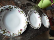 3 Stück Chodziez Polen Rosen