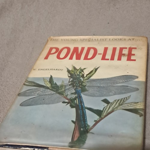 Pond life englhardt - by, w.englhardt