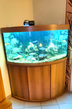 Eckaquarium mit Unterschrank