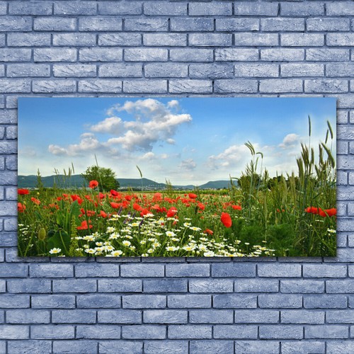 Glasbilder wandbild druck auf - glasbilder,