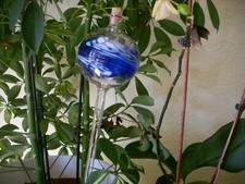 Durstkugel Wasserspender Glas Lauscha Blumentopf