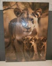 Displate Metallbild 30x40cm Afrika Löwe Mit Babys Neu OVP