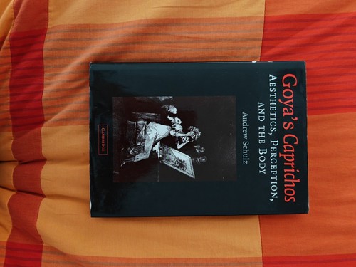 Goya caprichos aestetics - goya's,