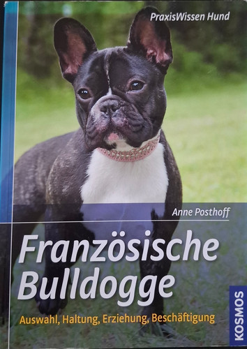 Französische bulldogge - französische,