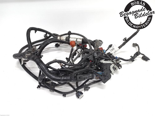Kabelbaum ford focus - -,