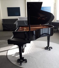 YAMAHA Silent Flügel GC-1 S