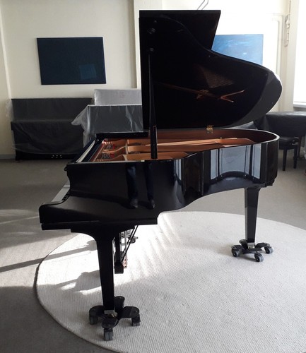 Yamaha silent flügel s - silent,