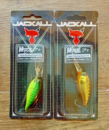 Jackall muscle deep illex - muscle,