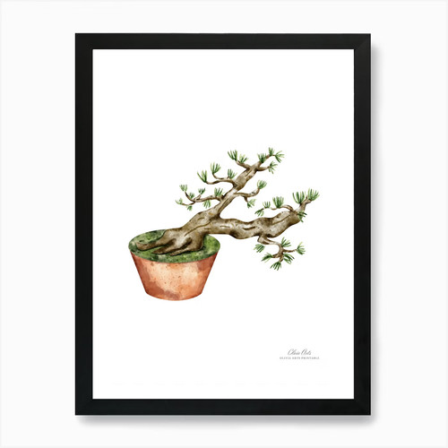 Bonsai baum ein feiner - bonsai,