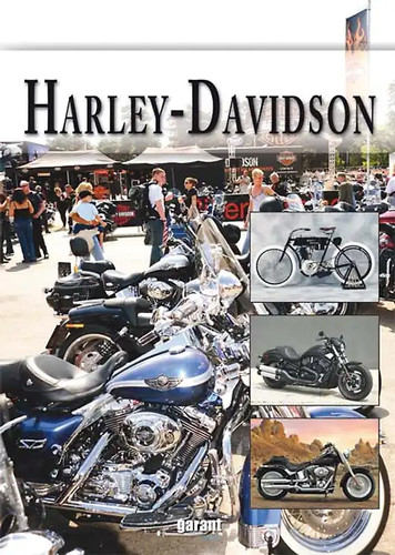 Harley davidson zustand sehr - harley,