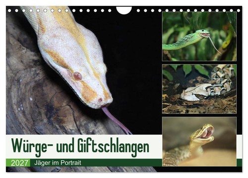 Würge und giftschlangen - würge-,