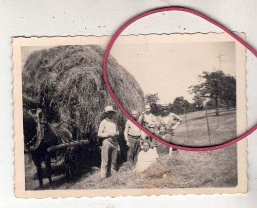 Photo foto bei der heuernte - ,