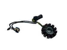 Lichtmaschine Stator Magnet