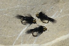 4 St. Goldkopf BLACK-NYMPH
