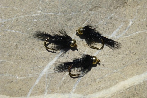 Goldkopf black nymph - 4,