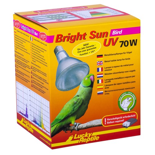 Bright sun bird watt - bright,