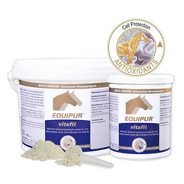 Equipur vitafit kg - equipur,