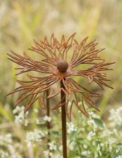 Rostige Kornblume Metallkunst