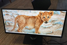 Dell U2913WM monitor 29 Zoll