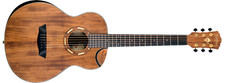 Washburn Comfort G-Mini 55 Koa