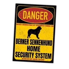 Berner Sennenhund Sennen Dog