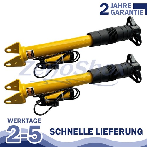 Federbeine hinterasch - 2x,