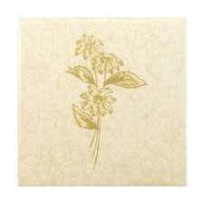 (153,5€/m² inkl Mwst, zzgl