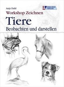 Workshop zeichnen tiere - workshop,