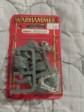 Bretonian Knight Of The Realm