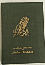 Die schönsten Schilderungen