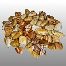 Zierkiesel, Dekosteine Regenbogen Sandstein 20-40 mm,  1kg