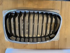 BMW 1er F20 F21 Ziergitter Niere SPORT Front links