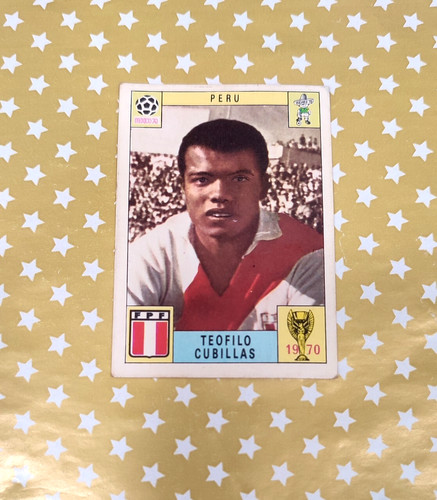 Album panini world - album, cup