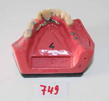 Go Dent Schaumodell Nr.  4