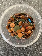 Vintage gemischtes Kondensator-Set - verschiedene Werte & Typen - ideal für D...