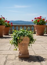 Pflanzkopf,Frauenkopf,Pflanzge